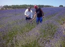 Ενημερωτική ημερίδα για το έργο AGRIFARM στο Δήμο Ζίτσας