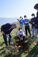 Δενδροφύτευση στη Δ.Κ. Ελεούσας για την παγκόσμια ημέρα Δασοπονίας