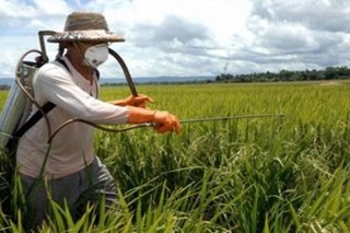 Αλλαγές στο Πιστοποιητικό Χρήσης Γεωργικών Φαρμάκων